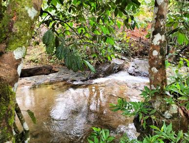 Agricultural-Land-for-sale-Batang-Kali-Selangor