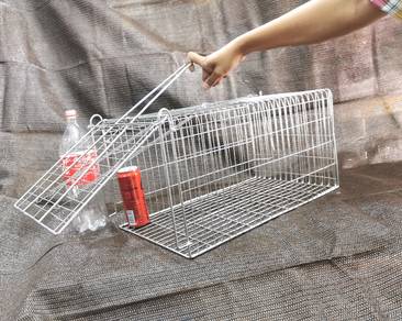 Big trap 54cm x 30cm x 27cm / perangkap besar