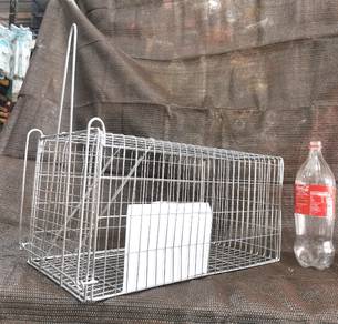 Big trap 54cm x 30cm x 27cm / perangkap besar
