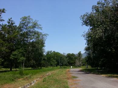 College Heights Garden Resort Near Guard House 10 Mins to Eco Majestic