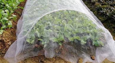Insect netting 2.5m x 6m / jaring serangga
