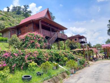 High Class Retire plan Agricultural Land (plantation,Homestead,Resort)
