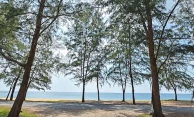 3 Lot Bungalow Tepi Laut Jalan Pantai Teluk Bidara, Dungun,Terengganu