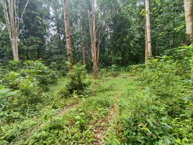 Agricultural-Land-for-sale-Hulu-Terengganu-Terengganu