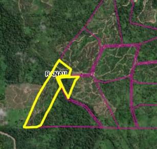 Nabutan Ranau CL45 acres Palm Oil Land For Sale