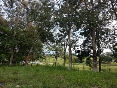 College Heights Garden Resort Nilai Pajam 10 minit to Setia Eco Hill