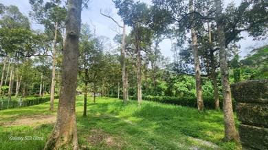 Tanah Pertanian Di Kg Sg Mahang Nilai(Konsep Eco resort)