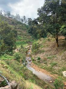 Agricultural-Land-for-sale-Raub-Pahang