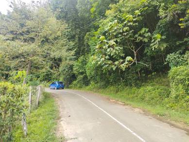 Lot tanah Kg Limputong 6 minit dr Smk Pengalat, Papar