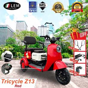 Electric Tricycle Z13 in negeri sembilan
