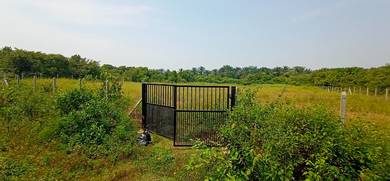 Agricultural-Land-for-rent-Gopeng-Perak