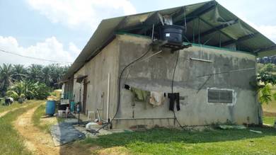 Agricultural-Land-for-rent-Kuantan-Pahang-2