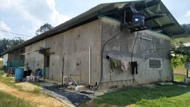 Agricultural-Land-for-rent-Kuantan-Pahang-1