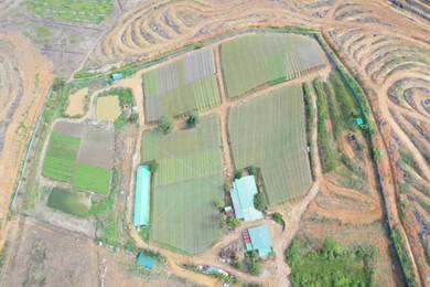 Agricultural-Land-for-rent-Kuantan-Pahang