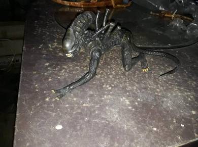 Small Black Alien
