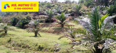 RIGHT CHOICE – 5 ACRES AGRICULTURAL LAND FOR SALE – Tapah Perak 出售农业用地
