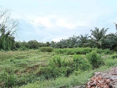 1 ekar tanah pertanian di pekan Kuala Selangor