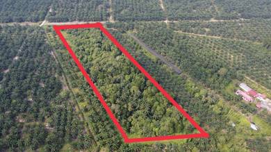 Agricultural-Land-for-sale-Banting-Selangor