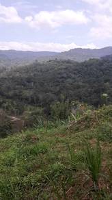 Agricultural-Land-for-sale-Hulu-Langat-Selangor