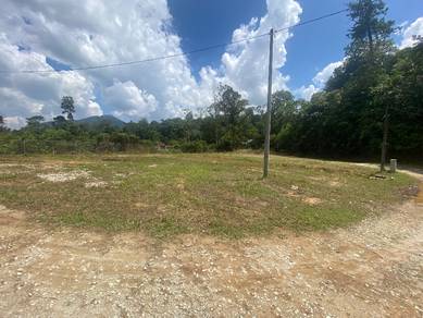 [TANAH RATA TEPI JALAN TERMURAH] 2.6 ekar Janda Baik Bentong