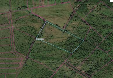 For Agricultural, Membakut Land, Bongawan