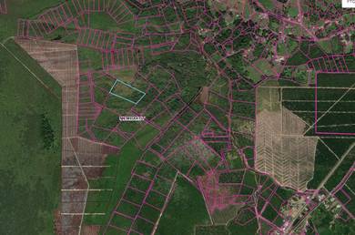 For Agricultural, Membakut Land, Bongawan
