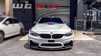 Bmw M4 3.0 DTM CHAMPION EDITION (A)