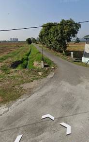 Permatang Nibong, Permatang Pauh, Roadside, Sawah Padi, First Grade