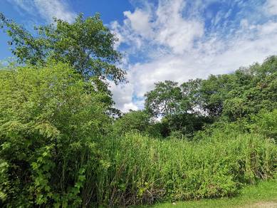 Commercial-Land-for-sale-Kuala-Ketil-Kedah