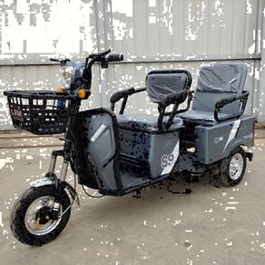 Z6 electric tricycle in pahang in Malaysia