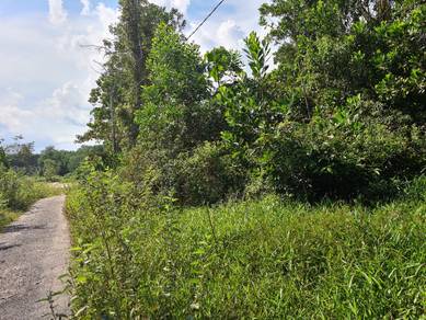 NON BUMI Agriculture Land WITH INFRA at LUBUK CHINA For SALE
