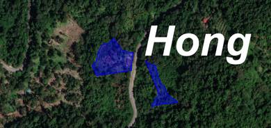 Agricultural-Land-for-sale-Balik-Pulau-Penang
