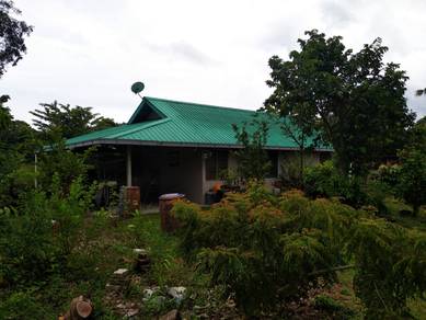Agricultural-Land-for-sale-Kuala-Linggi-Melaka