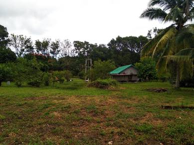1.12 acres Orchard farm at Nusa Dusun Orchard Resort, Kuala Linggi