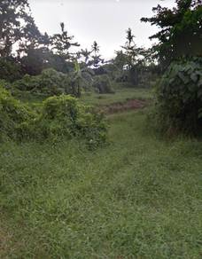 Agricultural-Land-for-sale-Balik-Pulau-Penang