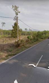 Agricultural-Land-for-sale-Sik-Kedah