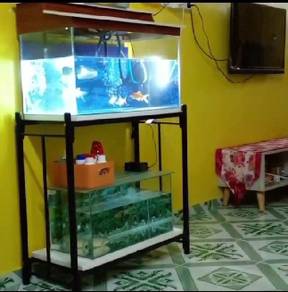 Olx aquarium hotsell