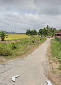 Tanah Pertanian Kg Baru, Kuchelong Bachok Kelantan, Geran Individu