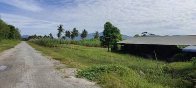 Agricultural-Land-for-sale-Balik-Pulau-Penang