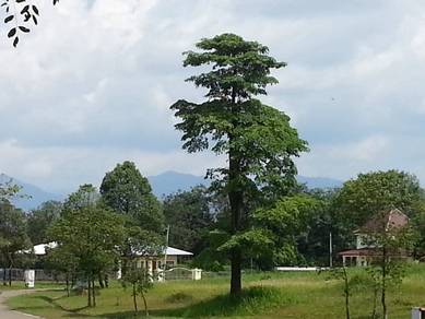 College Heights Garden Resort Golf Course 10min to Eco Majestic 7870sf