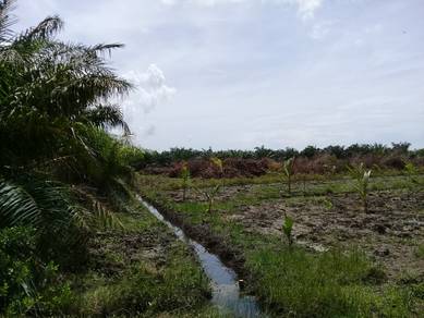 1.98 acres Agri Land at Bagan Nakhota Omar, Sabak Bernam, Selangor
