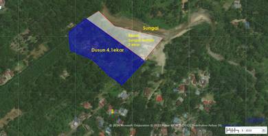 WOW! Dusun Durian 4.1 Ekar + 2 Ekar Rezab Sungai di Sedim, Kedah