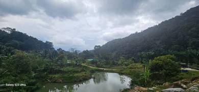 Agricultural-Land-for-sale-Ipoh-Perak