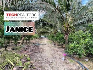Agricultural-Land-for-sale-Kulim-Kedah