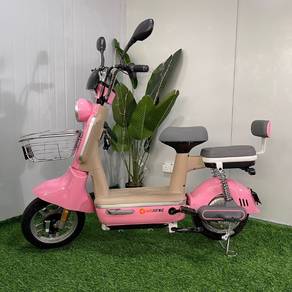 LEM Q6 electric scooter in perlis