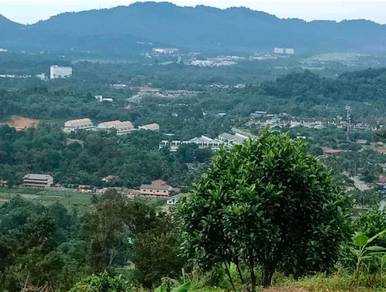 Agricultural-Land-for-sale-Balik-Pulau-Penang