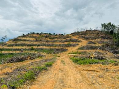 Agricultural-Land-for-sale-Slim-River-Perak