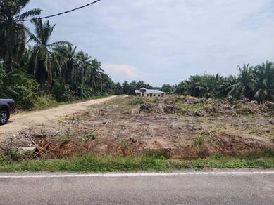 Tanah lot banglo di Lorong Cikgu Saodah, Pt Jelutong, Pt Raja