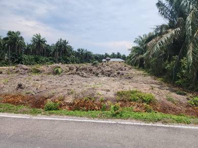 Tanah lot banglo di Lorong Cikgu Saodah, Pt Jelutong, Pt Raja