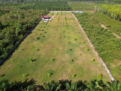 Agricultural-Land-for-sale-Bedong-Kedah
